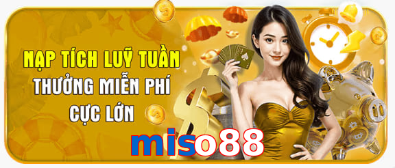 miso88